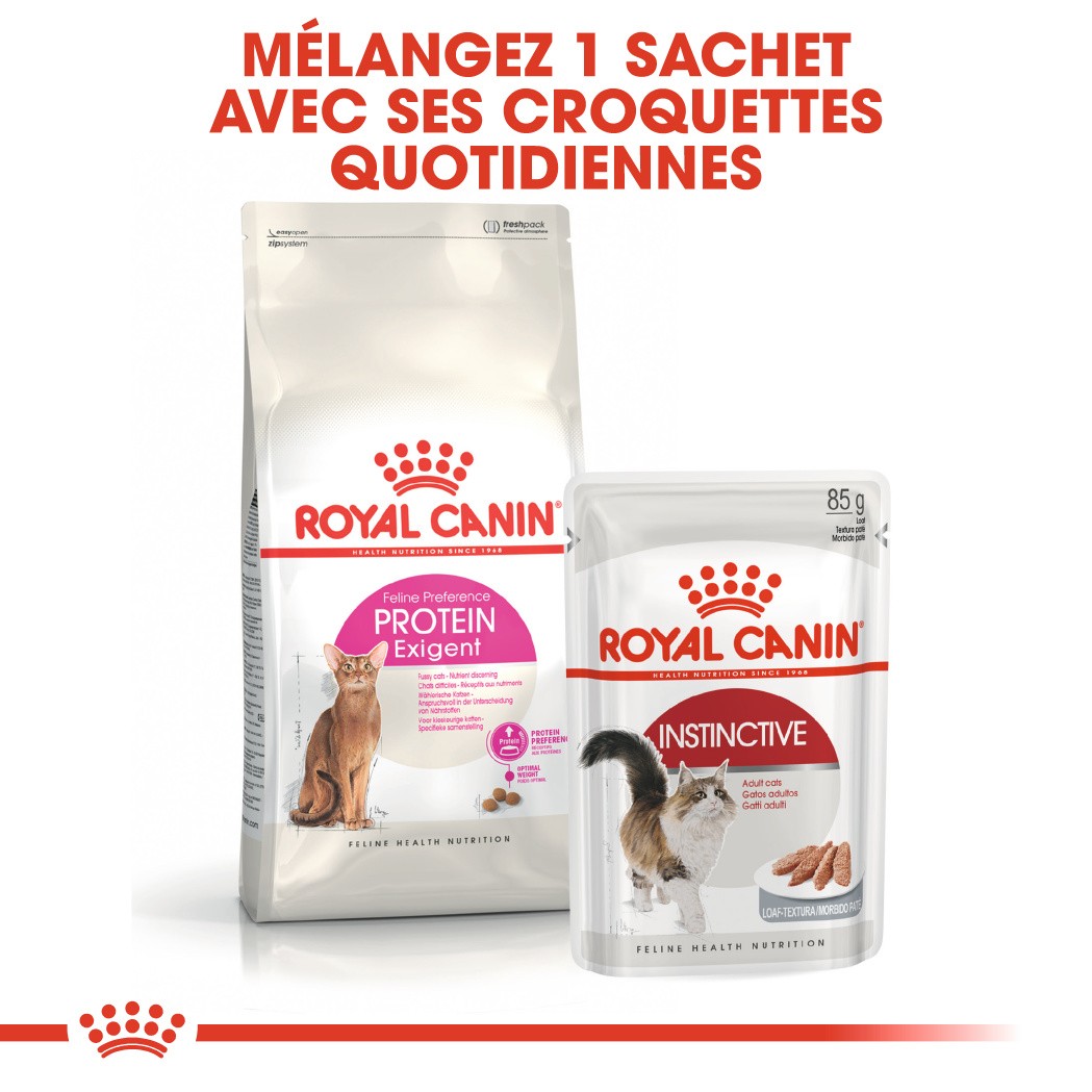 Royal Canin Protein Exigent - croquettes chat