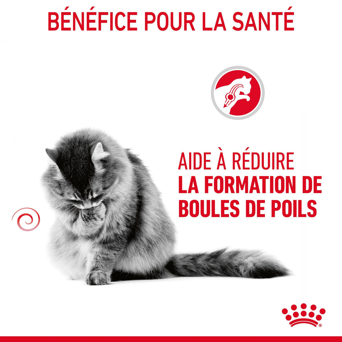 Royal Canin Hairball Care - croquettes chat