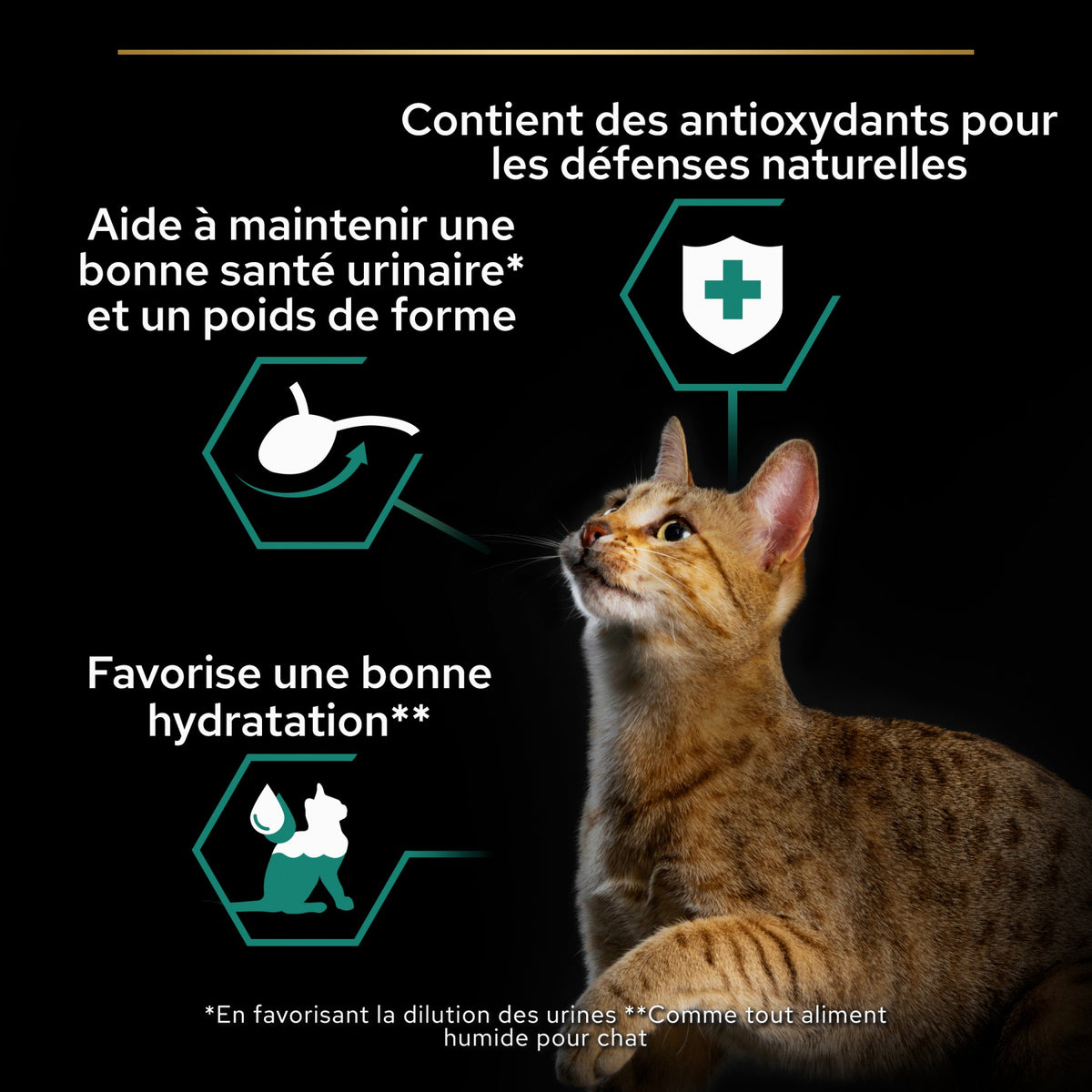 Pro Plan Nutrisavour Sterilised en sauce - pâtée chat
