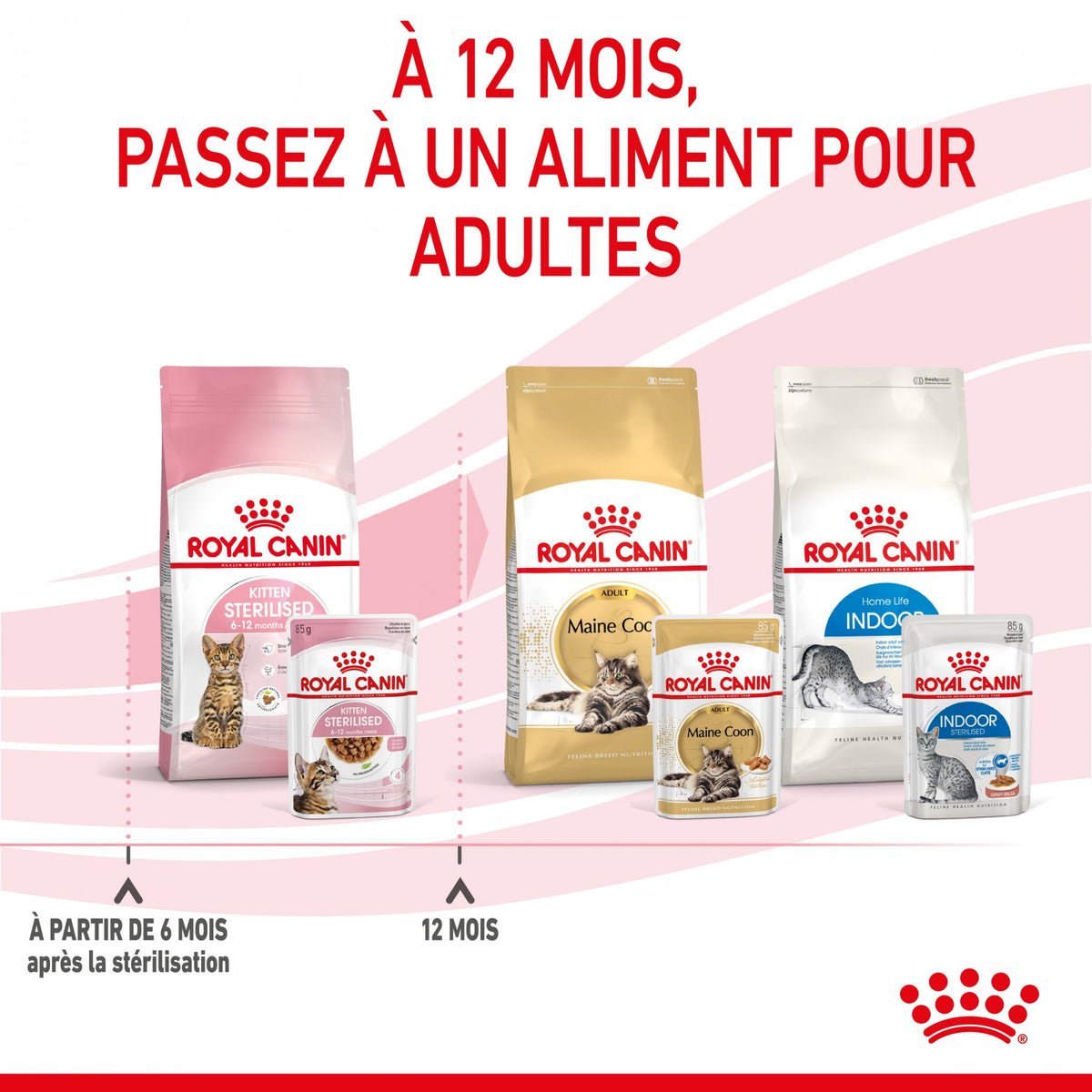 Royal Canin Kitten Sterilised gelée et sauce - pâtée chaton