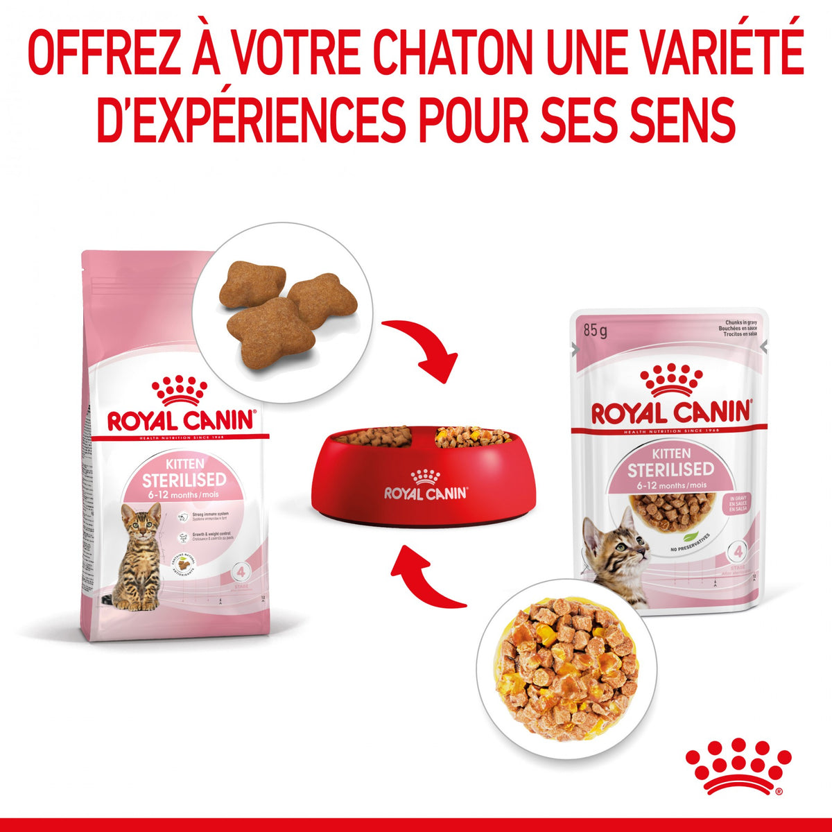 Royal Canin Kitten Sterilised gelée et sauce - pâtée chaton