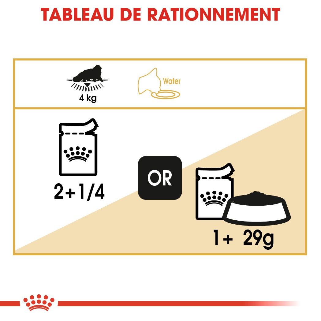 Royal Canin Persian