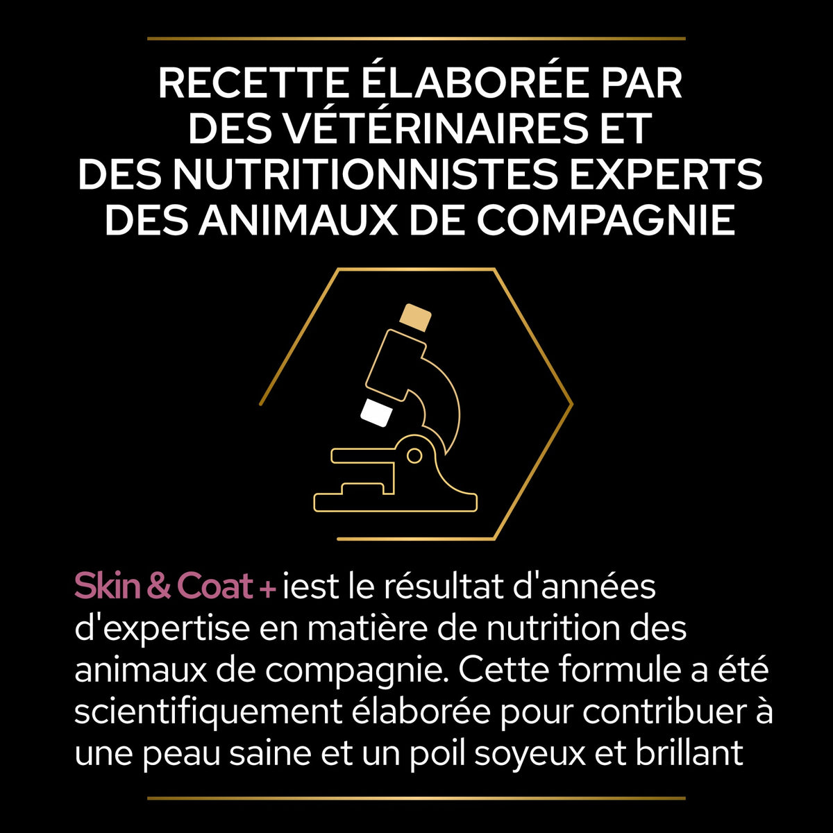 Pro Plan Skin & Coat+ en huile aliment complémentaire chat