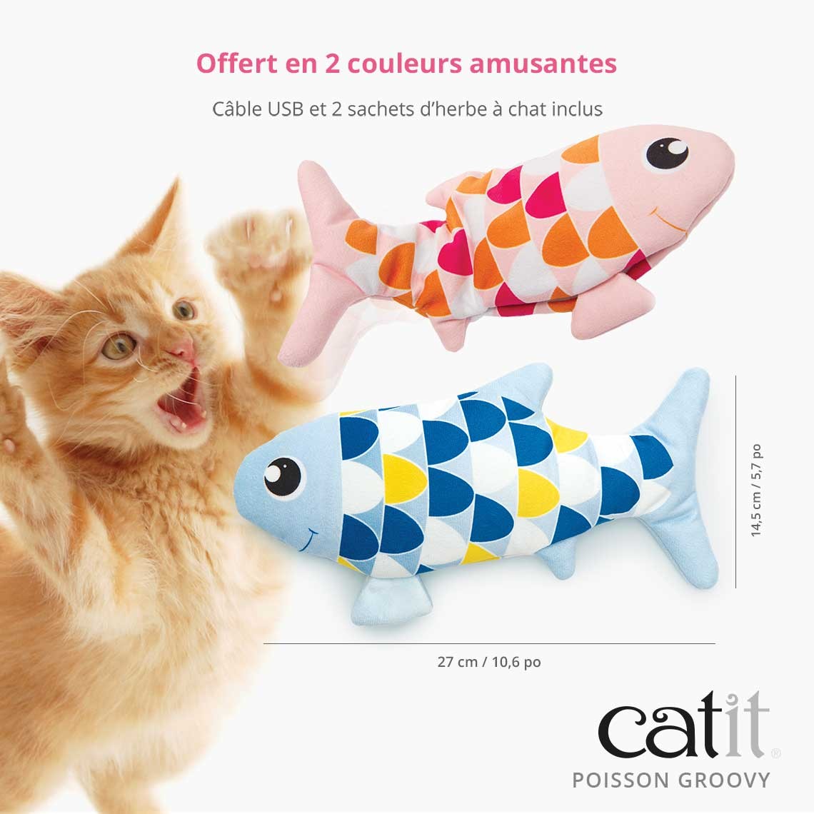 Poisson électronique Groovy chat