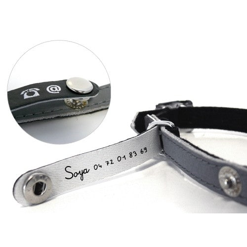Collier porte-adresse réfléchissant chat, chien
