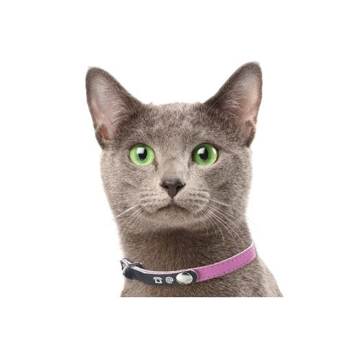 Collier porte-adresse réfléchissant chat, chien