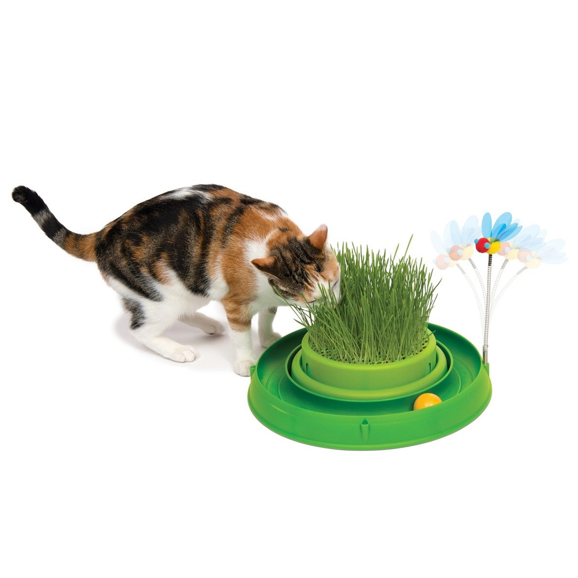 Circuit Bee Play & Garden