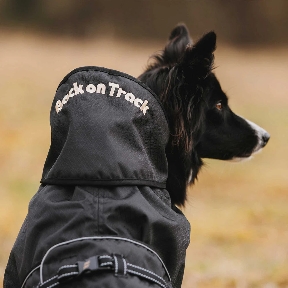 BOT MANTEAU POUR CHIEN