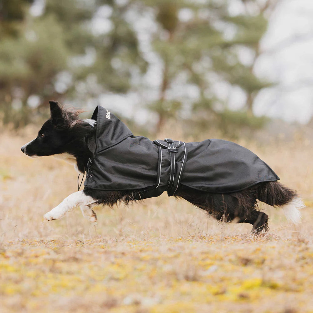 BOT MANTEAU POUR CHIEN