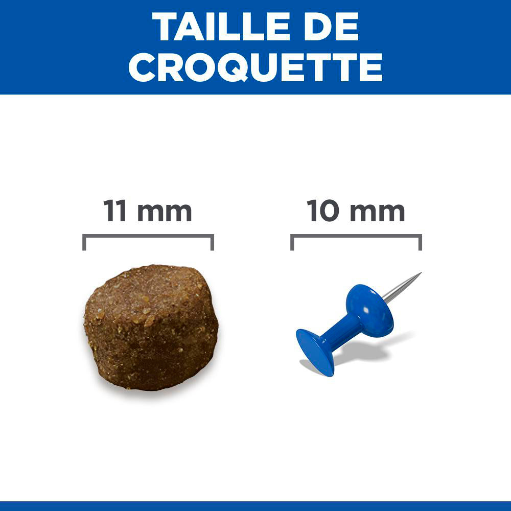 HILL&