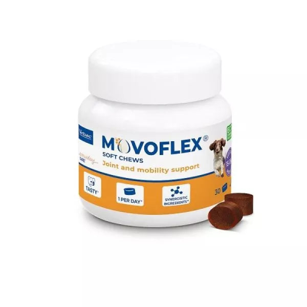 Movoflex chien