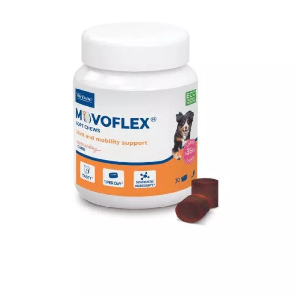 Movoflex chien