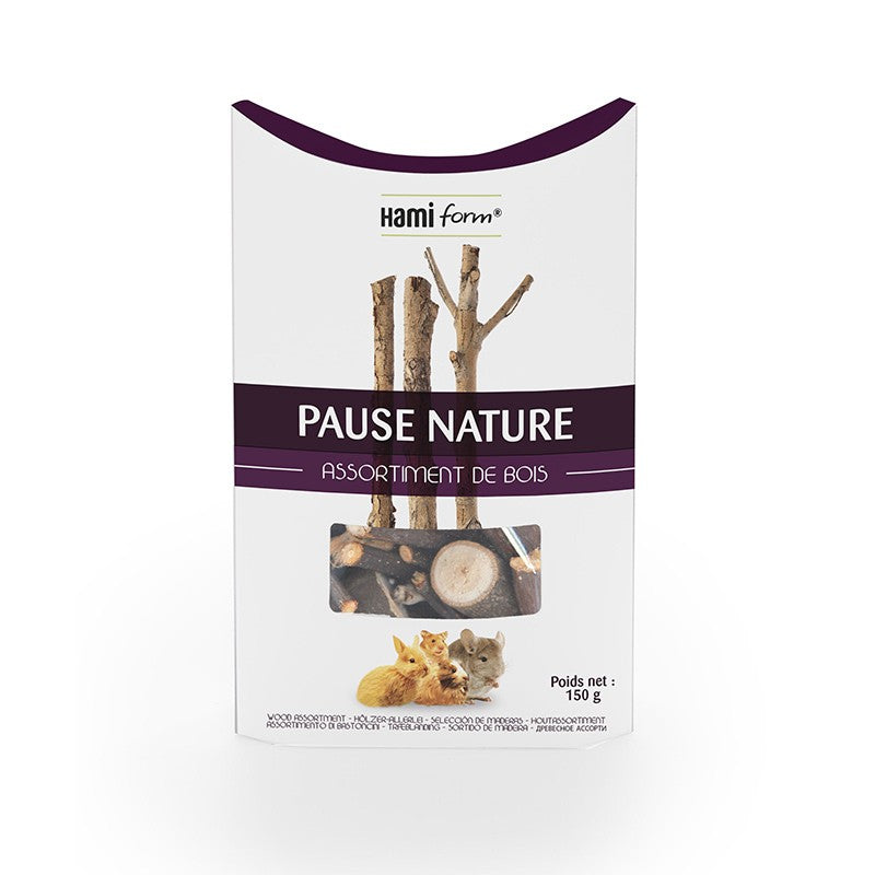 Pause Nature rongeur