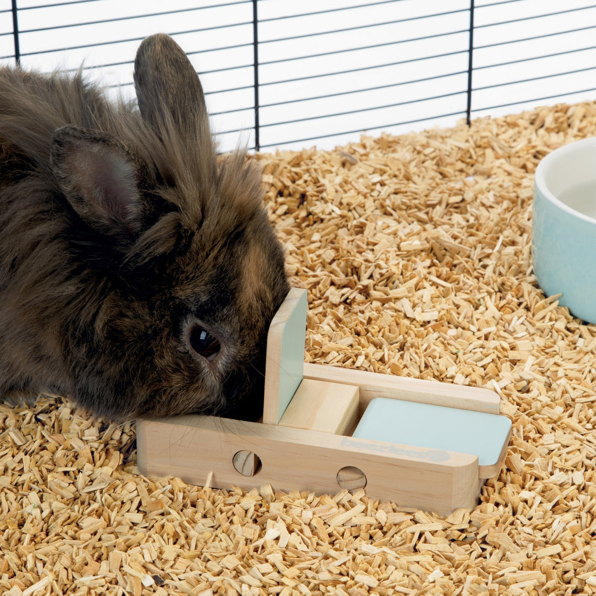 Jouet distributeur Dorix lapin, rongeur