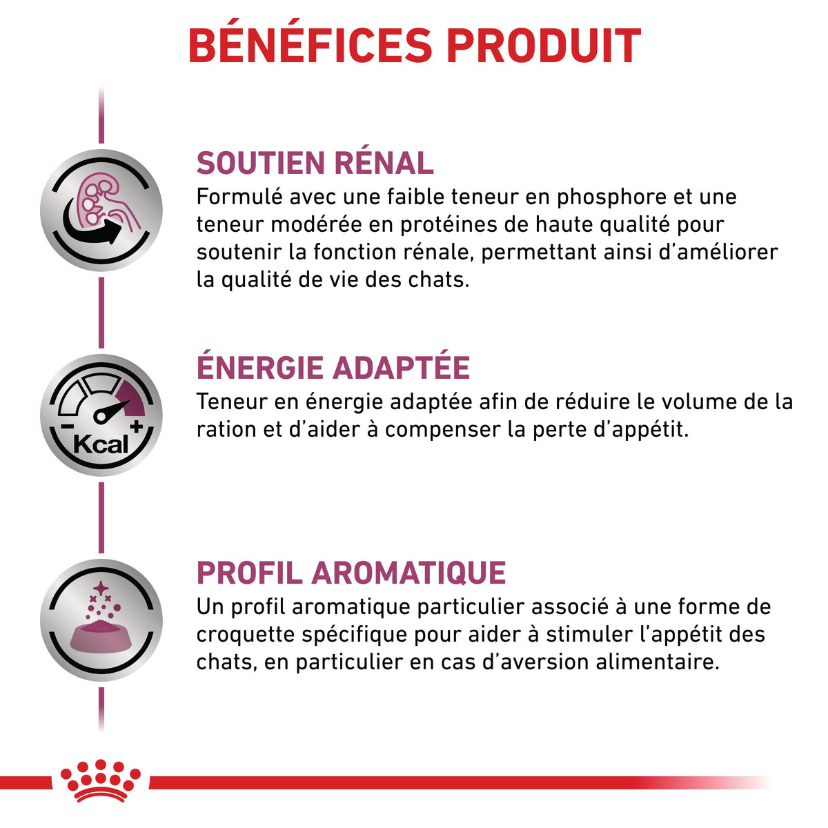 Royal Canin Veterinary Renal Special - croquettes chat