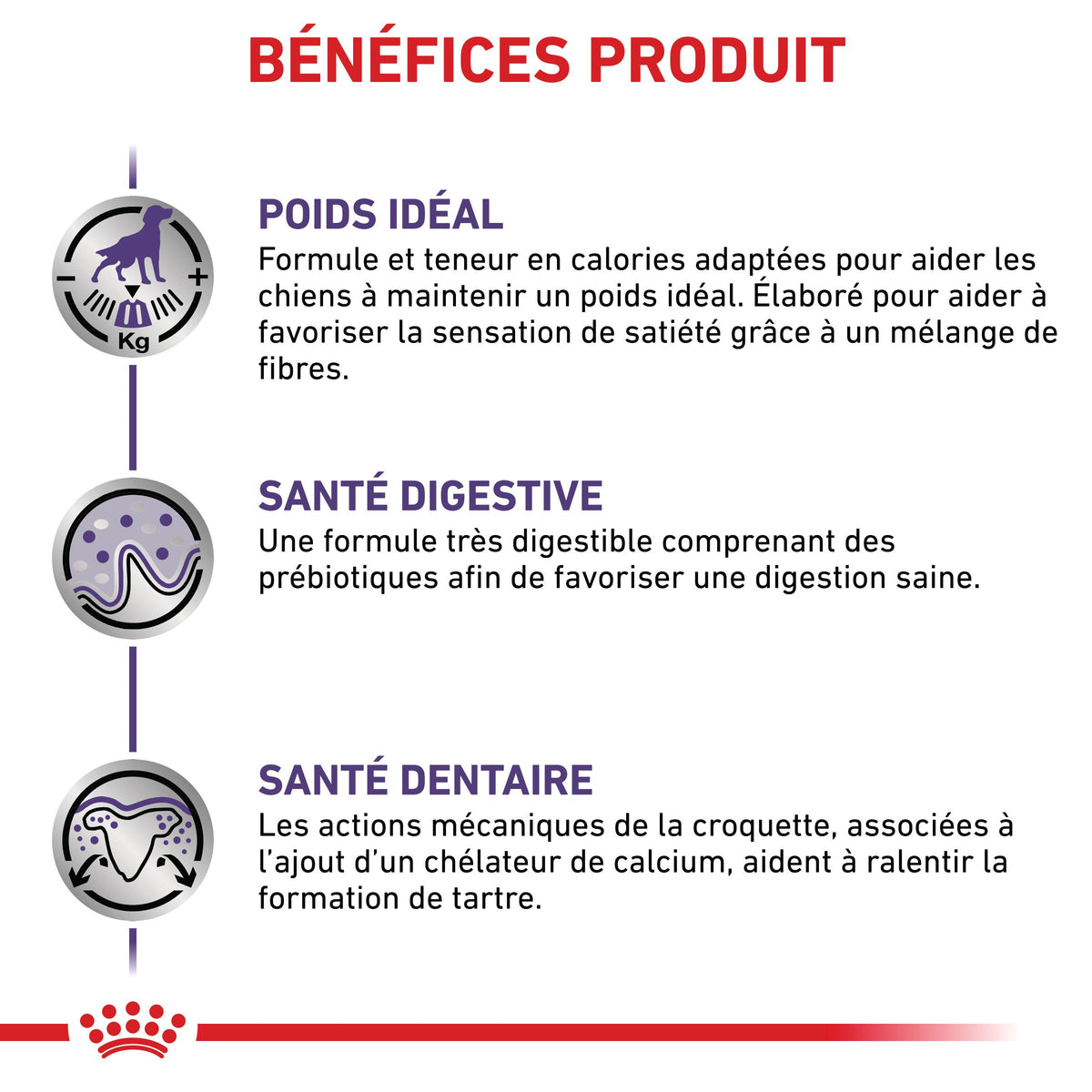 Royal Canin Veterinary Neutered Adult Small Dog - croquettes chien