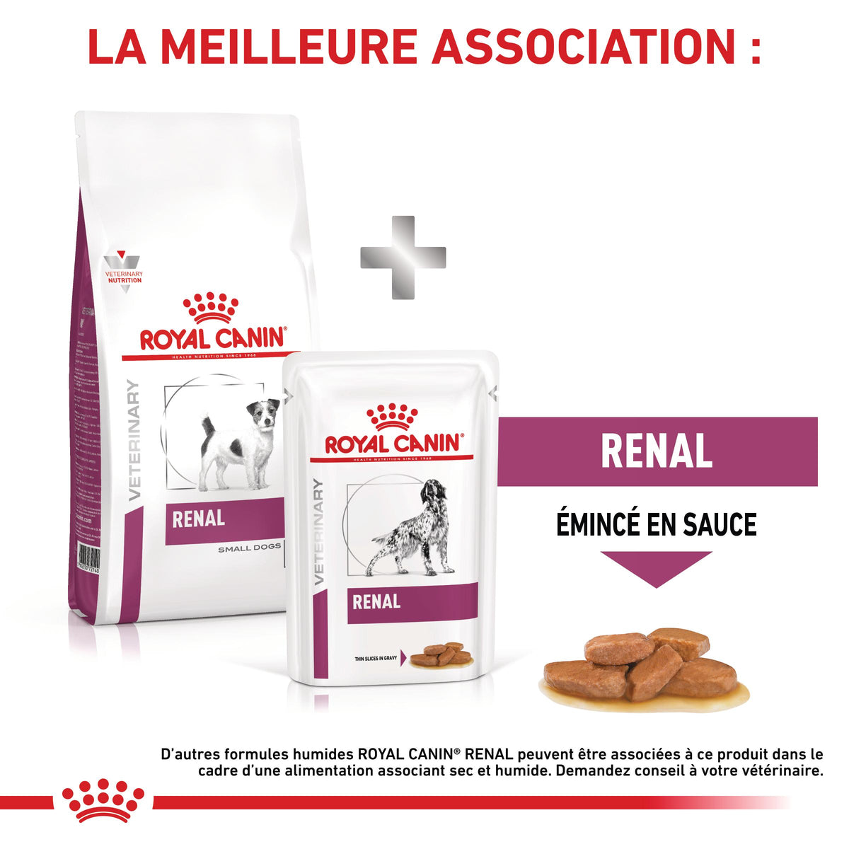 Royal Canin Veterinary Renal Small Dog - croquettes chien