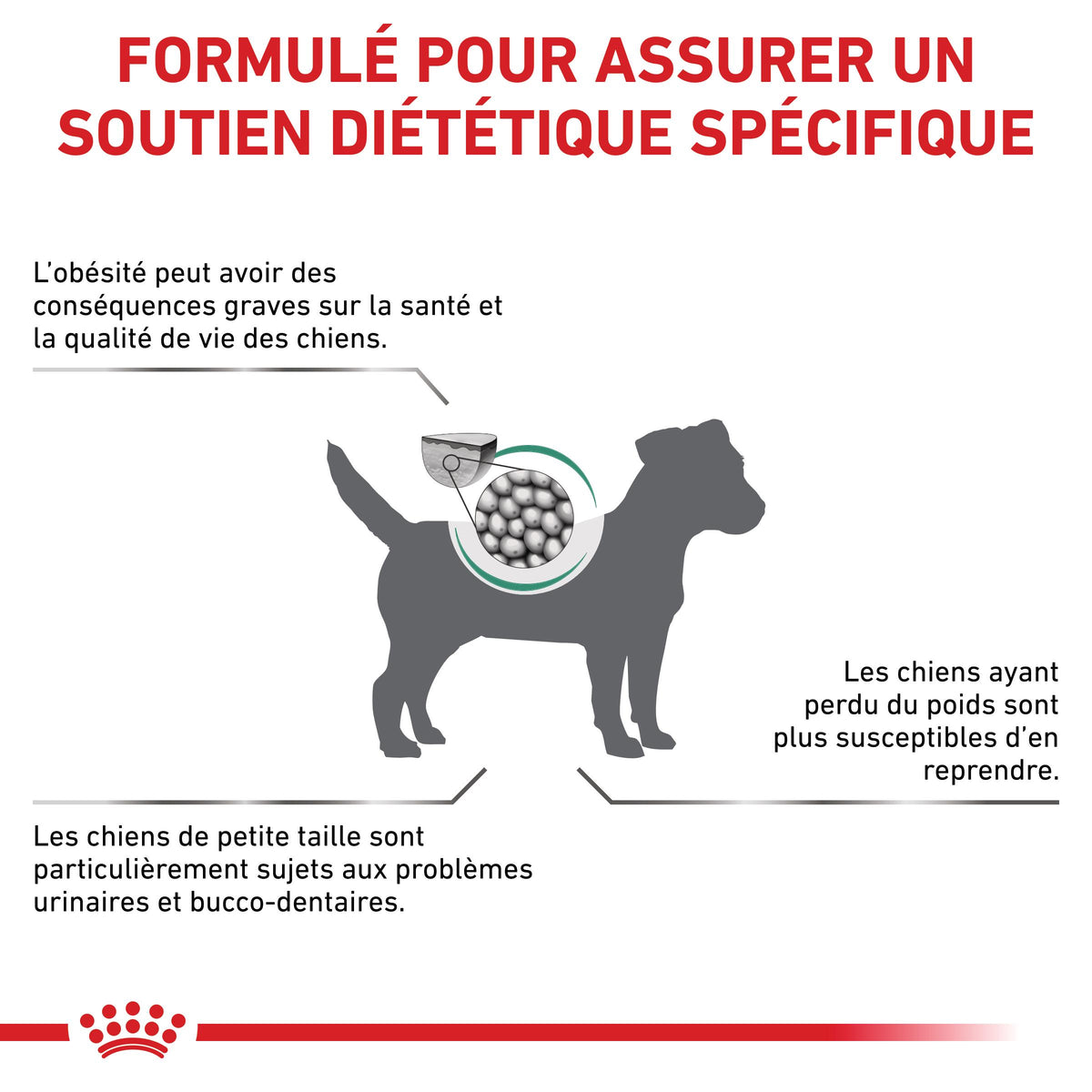 Royal Canin Veterinary Satiety Weight Management Small Dog - croquettes chien