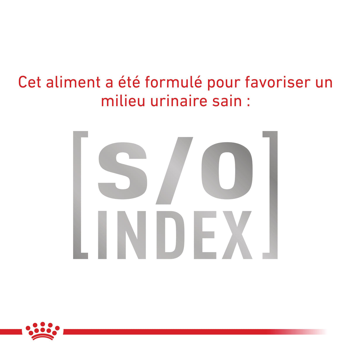 Royal Canin Veterinary Satiety Weight Management Small Dog - croquettes chien