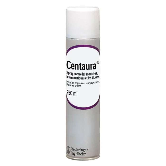 Centaura chien