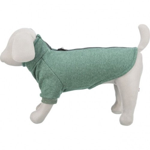 Sweat vert CityStyle Amsterdam chien