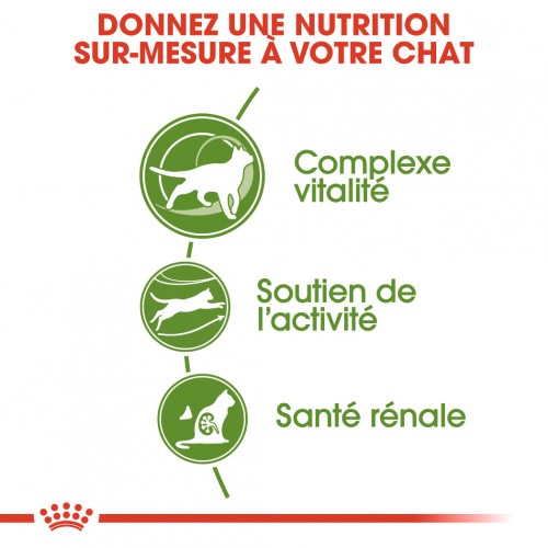 Royal Canin Outdoor 7+ - croquettes chat