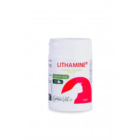 Lithamine chat