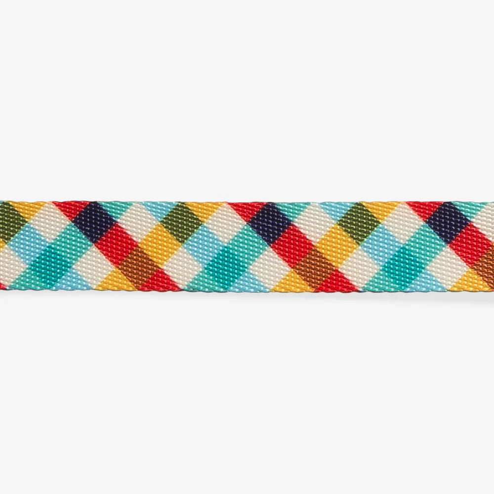 Zee Dog - Chien - Collier Phantom