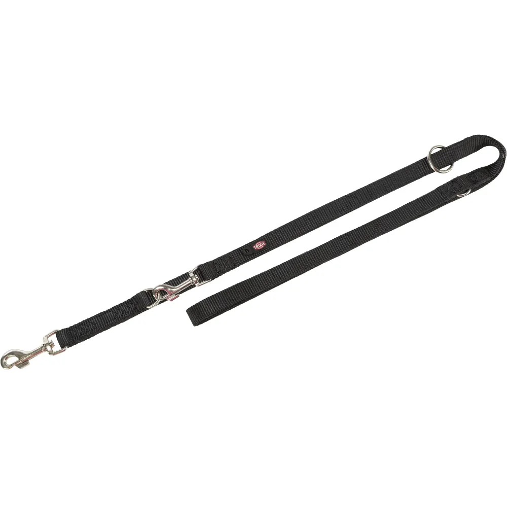 Laisse premium reglable pour chien
