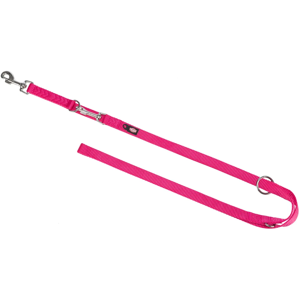 Laisse premium reglable pour chien