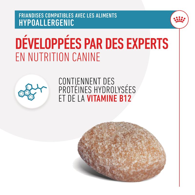 Royal Canin Hypoallergenic Treats chien