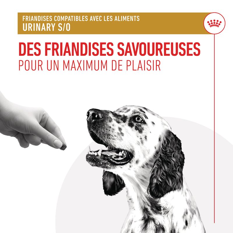 Royal Canin Urinary Treats chien