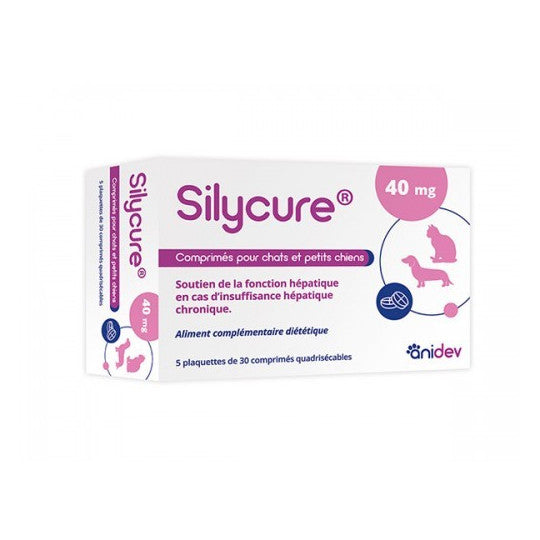 Silycure chat, petit chien