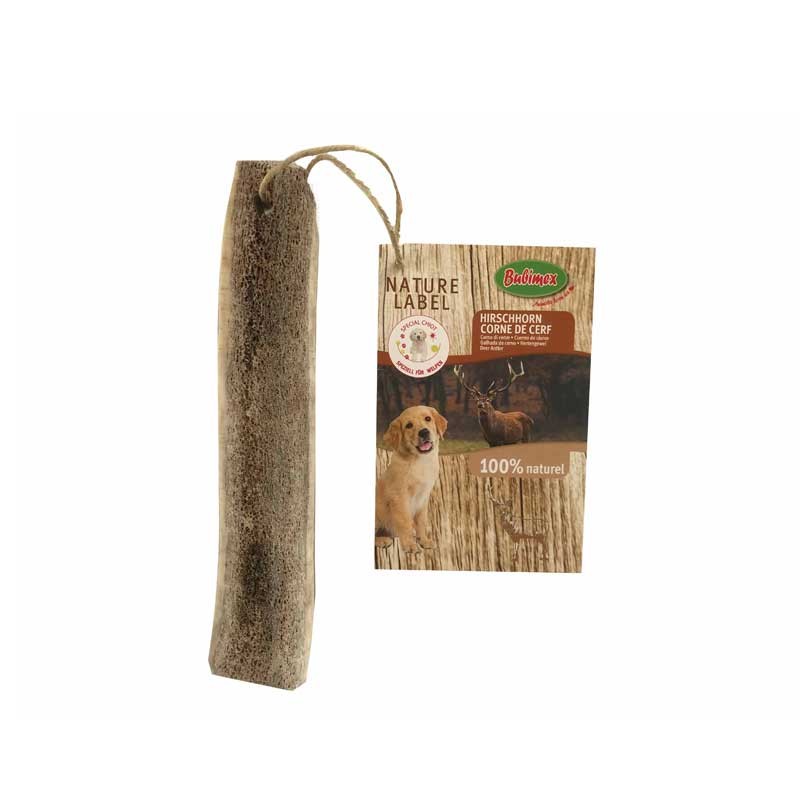 Bois de cerf spécial chiot