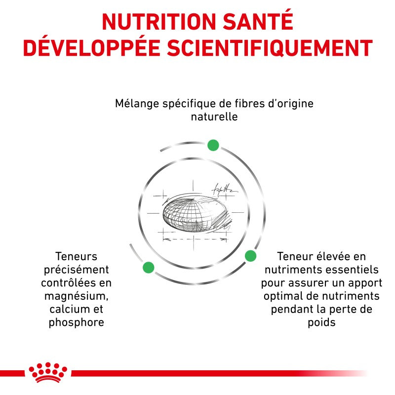 Royal Canin Veterinary Health Nutrition Chien Small Satiety
