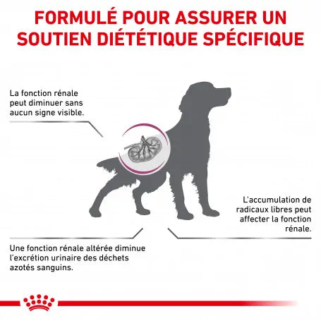 Royal Canin Veterinary Health Nutrition Chien Early Renal