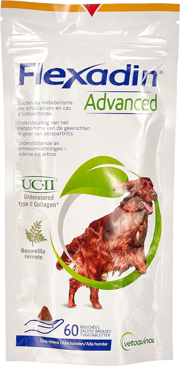 Flexadin Advanced Chew Original articulations chien