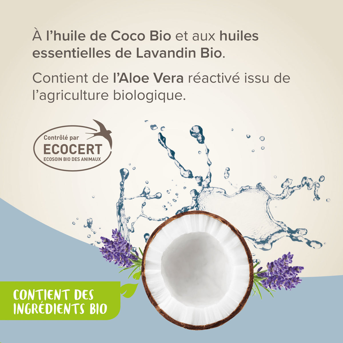 Shampoing Stop Puces Coco chien, chat