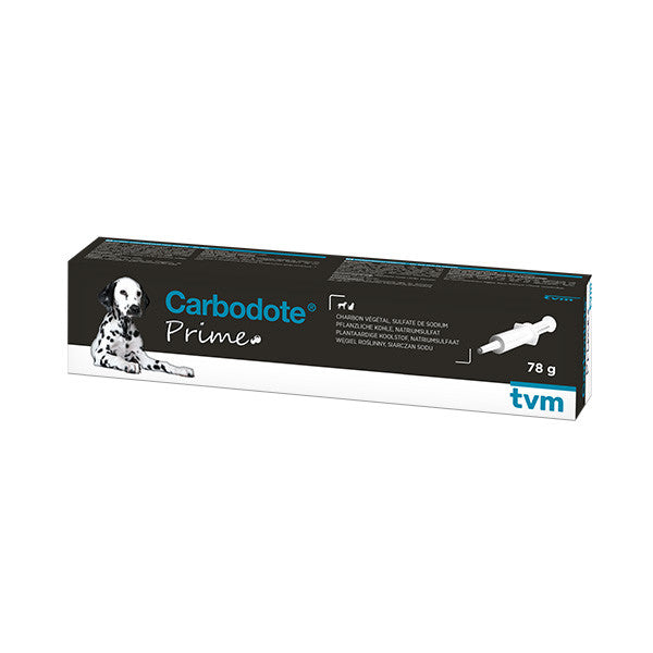Carbodote Prime chat, chien