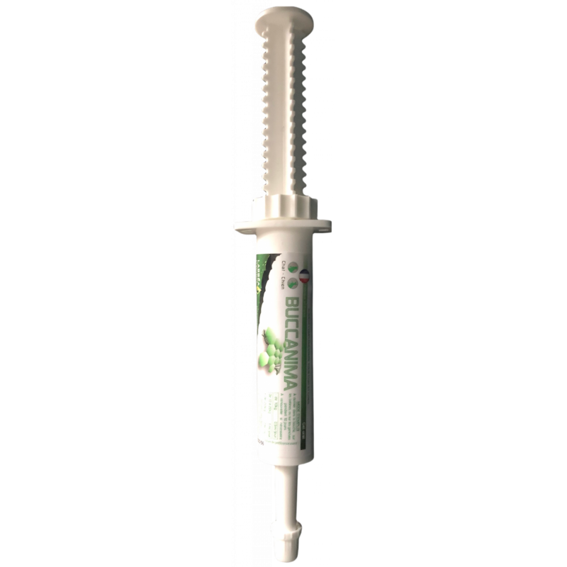 Buccanima gel oral bucco-dentaire chat, chien, lapin, furet