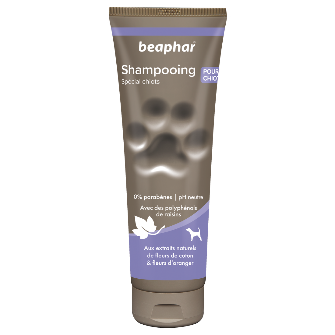 Shampooing spécial chiot