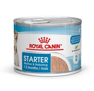 HN Starter Mother &amp; baby Royal Canin - pâtée chiot, chienne