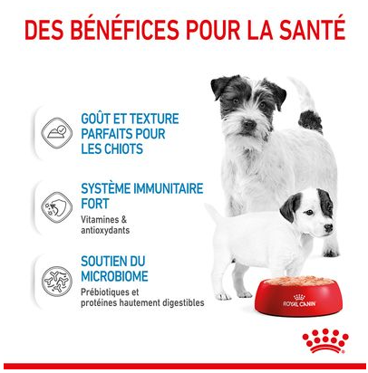 HN Starter Mother &amp; baby Royal Canin - pâtée chiot, chienne