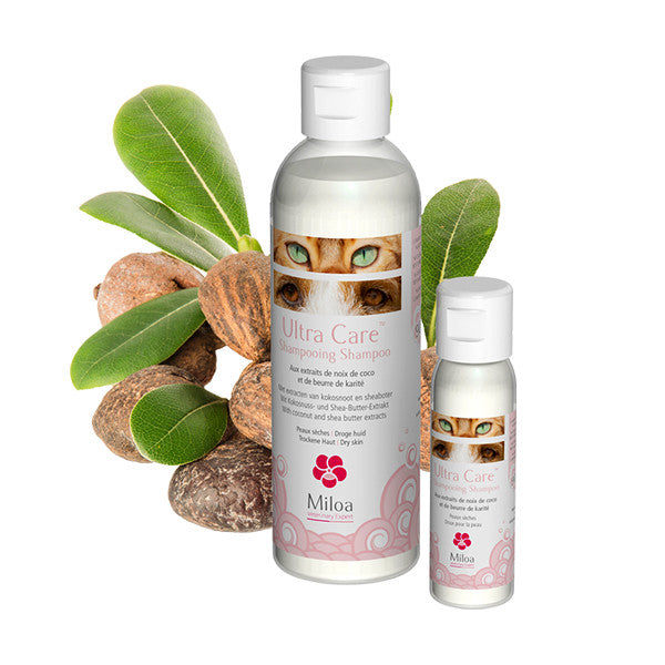 Ultra Care shampoing chat, chien