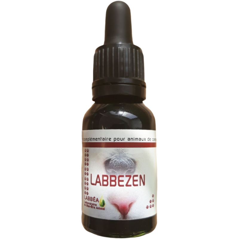 Labbezen chat, chien