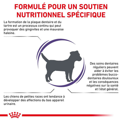 Royal Canin Ehn Chien Small Dental - croquettes chien
