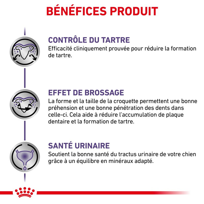 Royal Canin Ehn Chien Small Dental - croquettes chien
