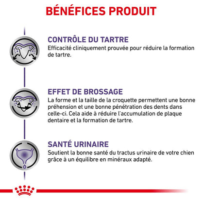 Royal Canin Ehn Chien Small Dental - croquettes chien