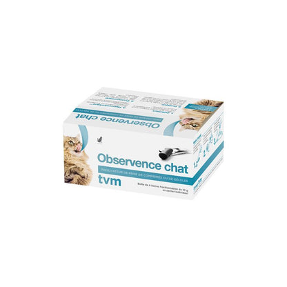 Observence chat