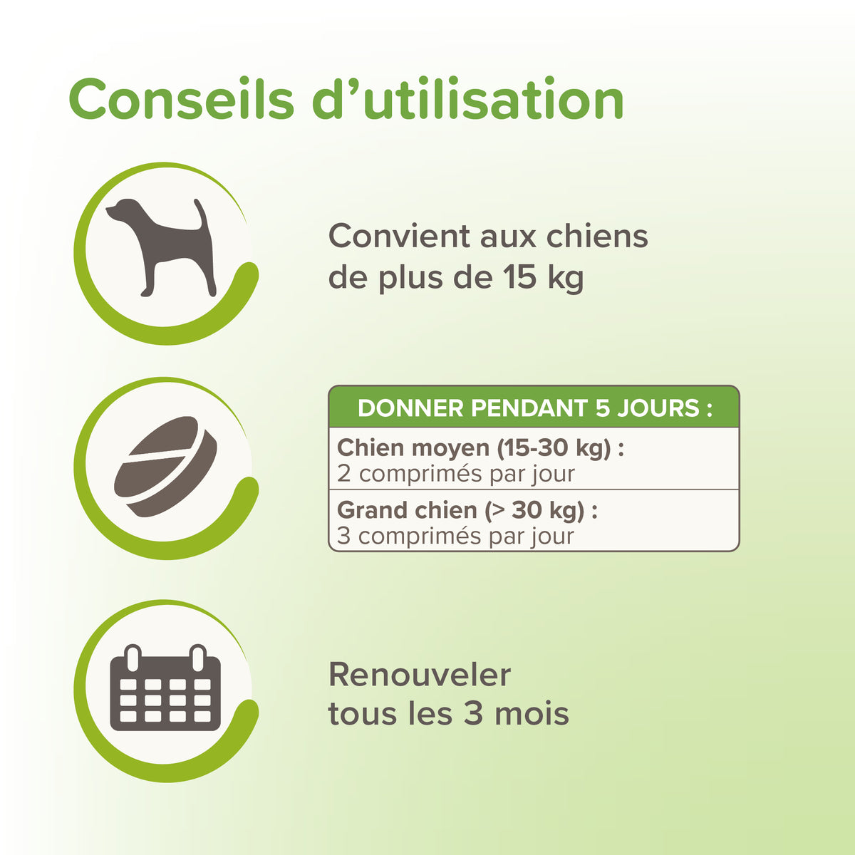 Vermipure comprimés Purge grand chien